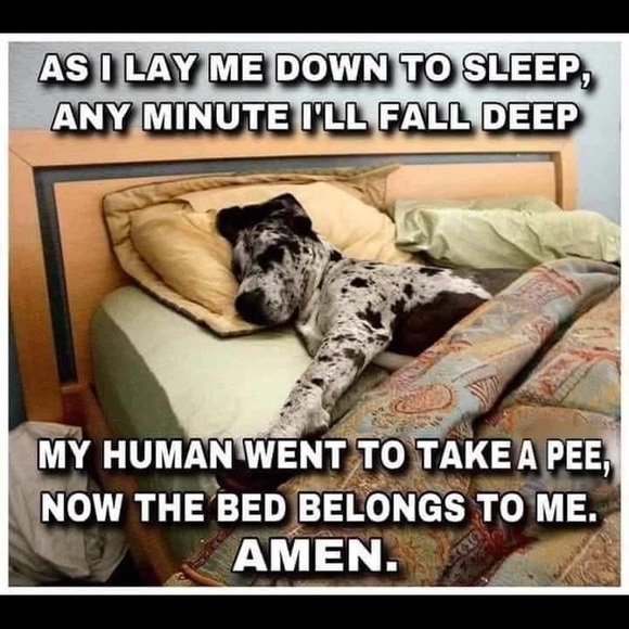 ANY REASONABLE OFFER ENTERTAINED🌺🌿🌺 - Picture 13 of 15